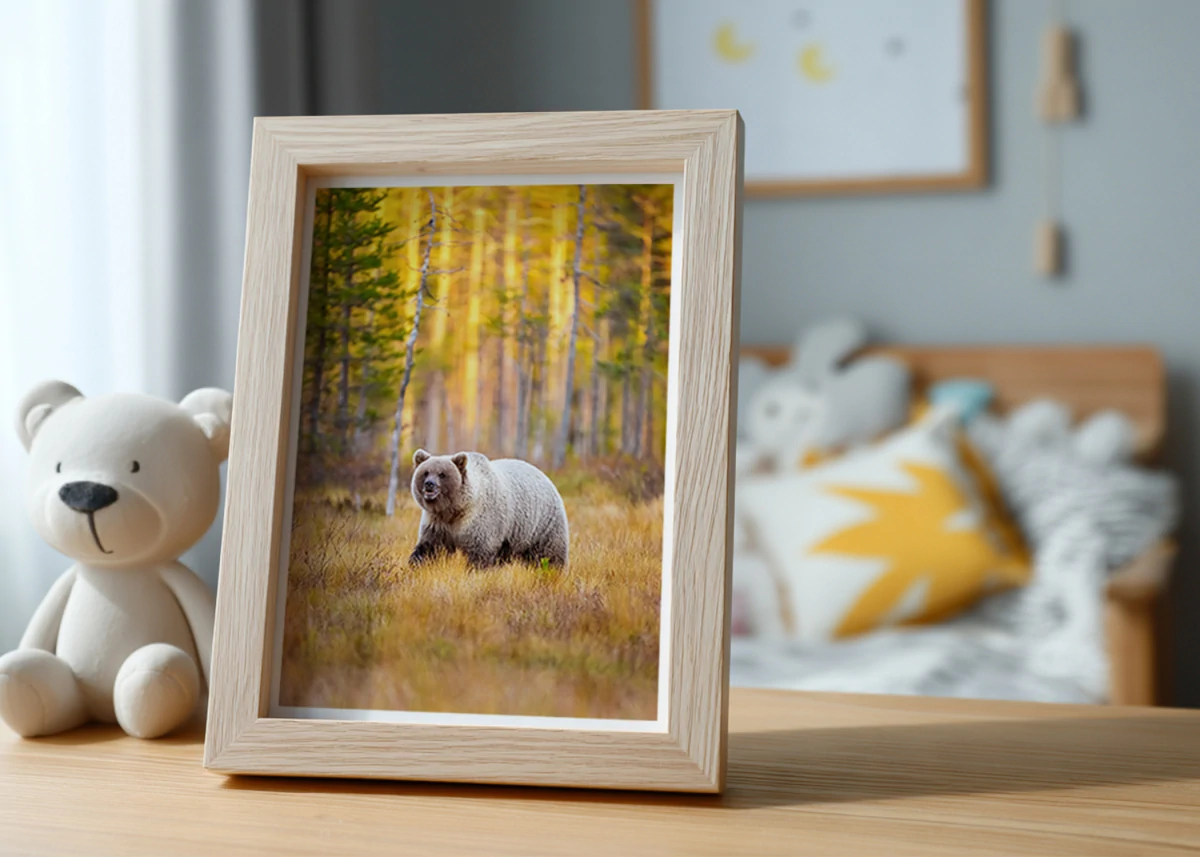 Ours Brun N°1 | Cadeau original enfant - offrez son animal préféré à votre enfant