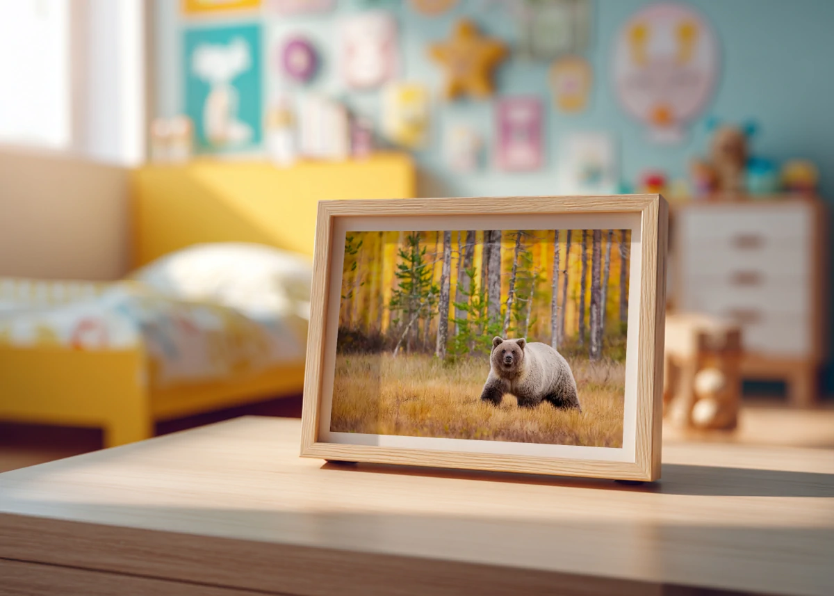 Ours Brun N°2 | Cadeau original enfant - offrez son animal préféré à votre enfant
