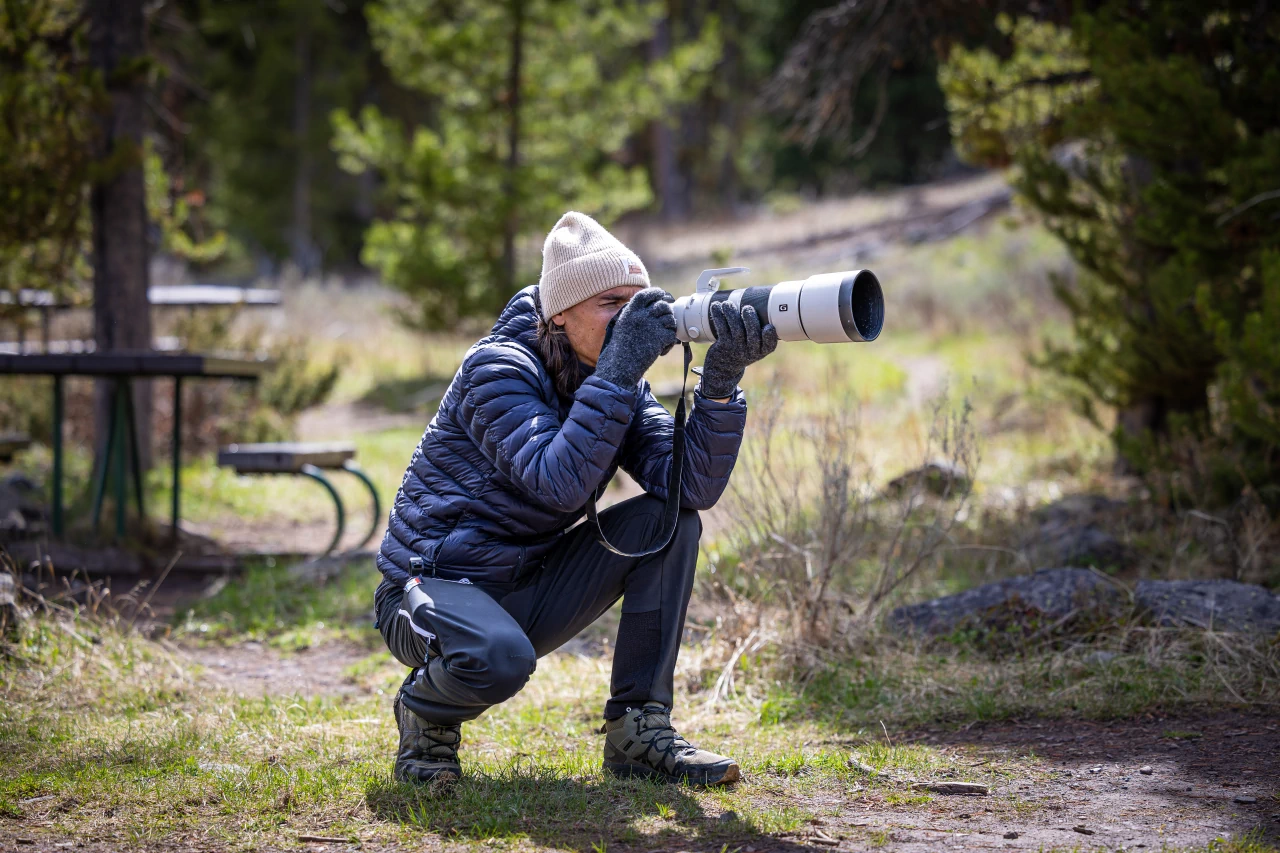 Photos Animaux Sauvages | Un cliché du photographe animalier Antoine Boulinguez