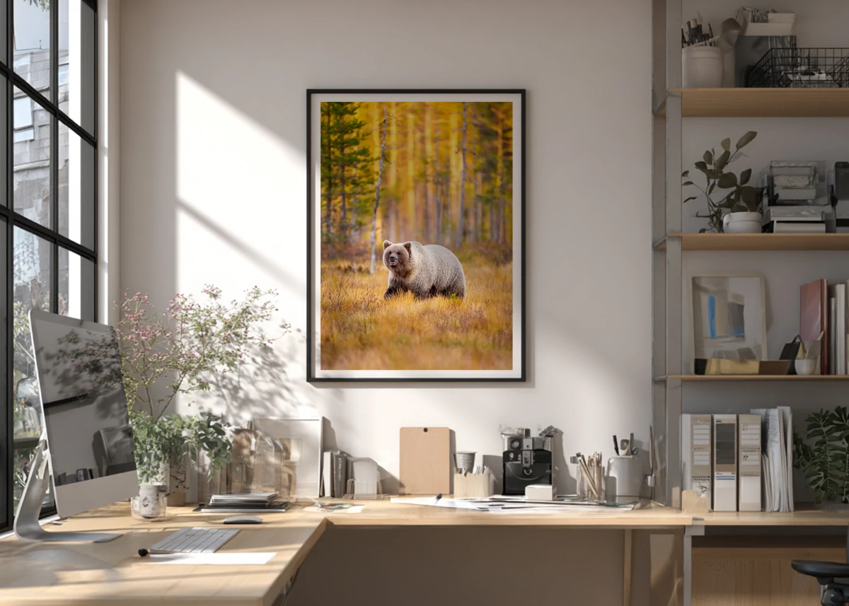 Surprenez un homme passionné de nature et de grands espaces avec un tirage de photopahie animalière haute qualité.