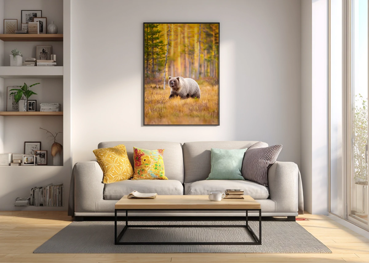 Comment choisir la couleur du cadre ? | Photos Animaux Sauvages