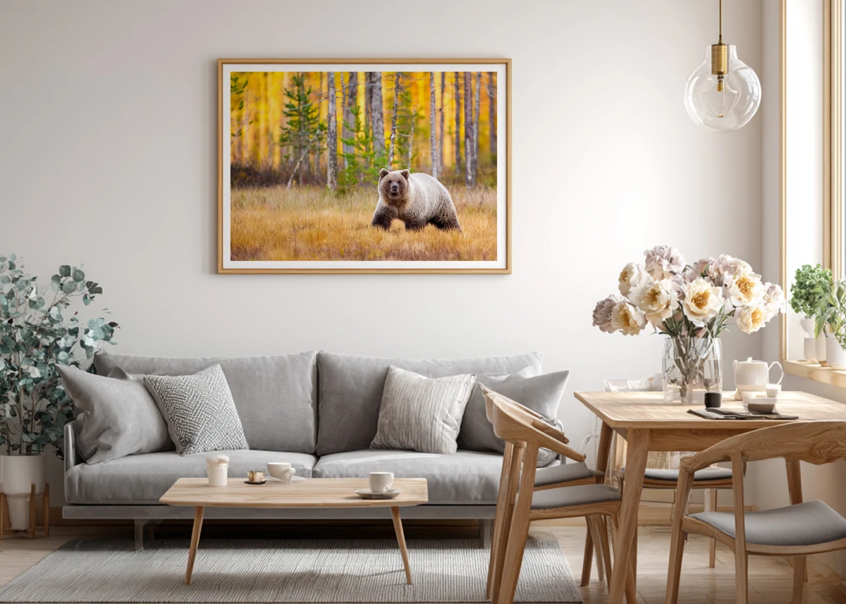 Comment choisir entre format Vertical et Horizontal ? | Photos Animaux Sauvages