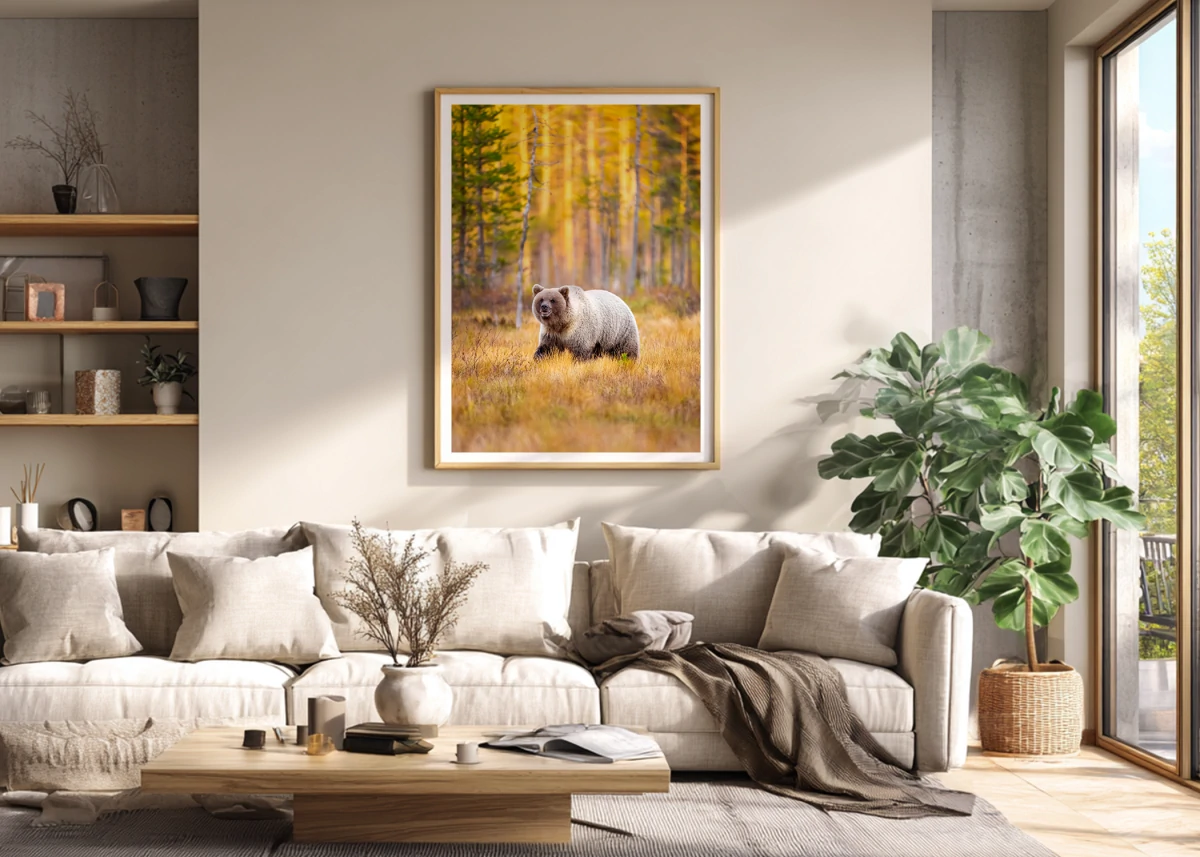 Offrez de la Vie Sauvage à votre décoration d'intérieur | Photos Animaux Sauvages