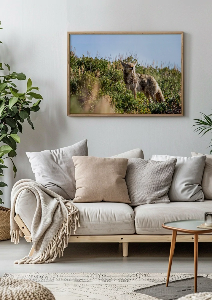Coyote N°1 | Décoration intérieure murale salon salle à manger