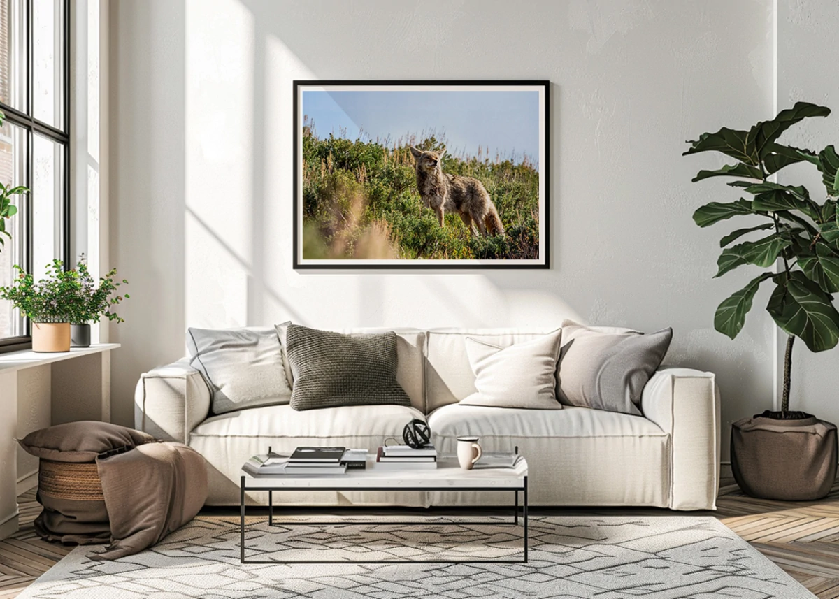 Coyote N°1 | Décoration intérieure murale salon salle à manger