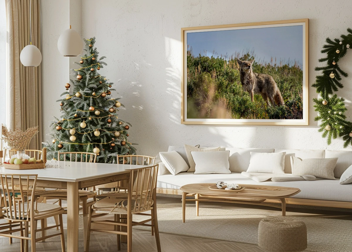 Coyote N°1 | Cadeau original Noël - offrez son animal préféré à votre enfant