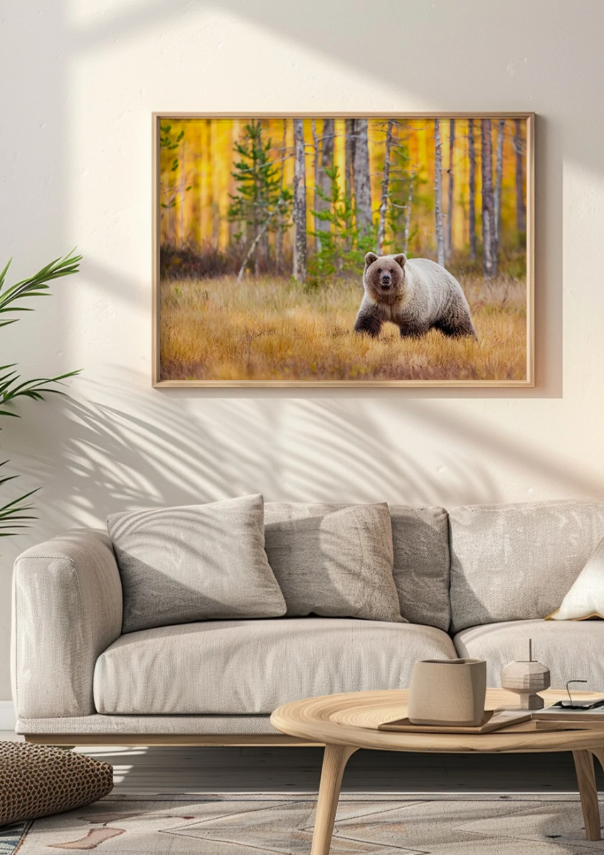 Ours Brun N°2 | Décoration intérieure murale salon salle à manger