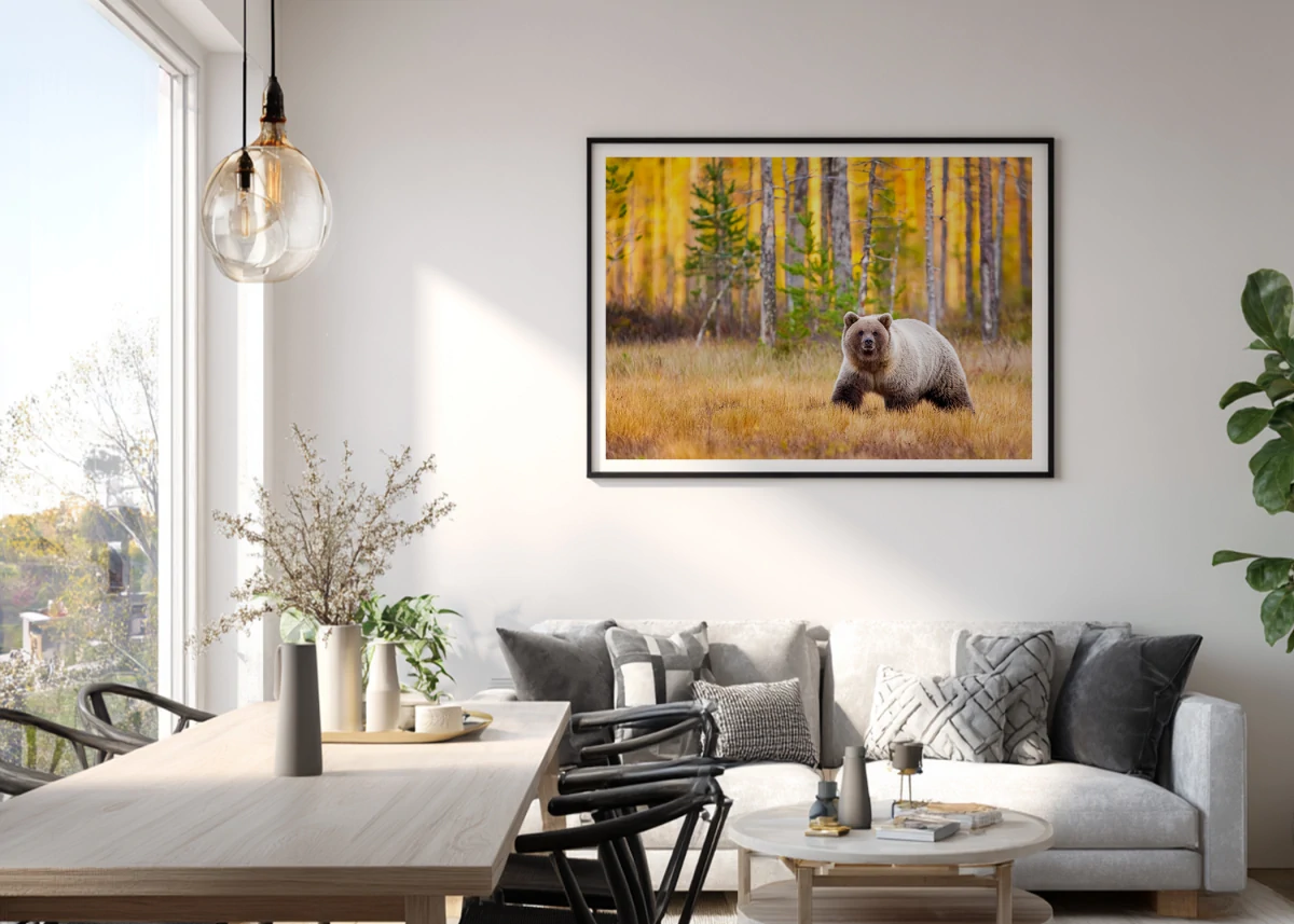Ours Brun N°2 | Décoration intérieure murale salon salle à manger
