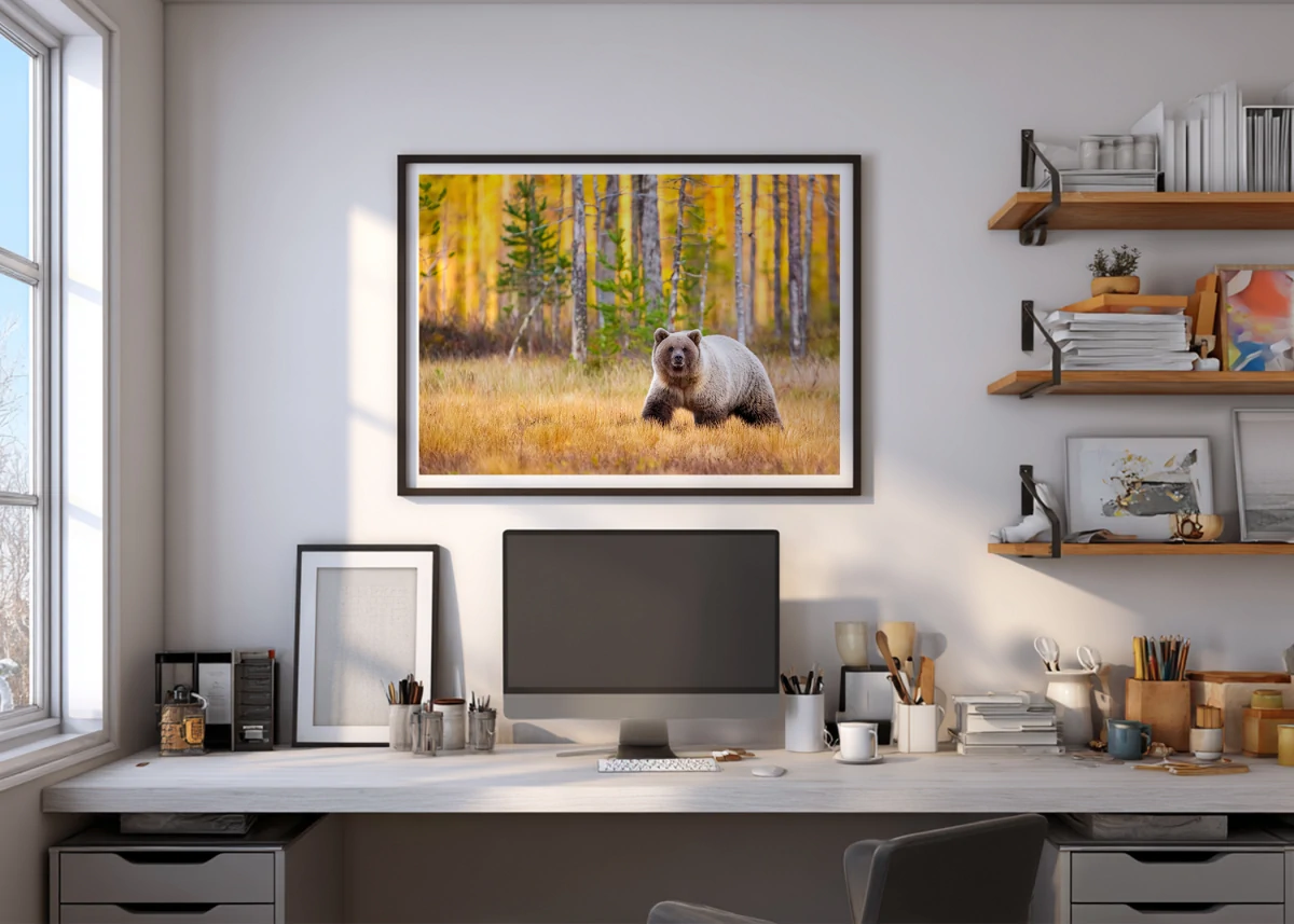 Ours Brun N°2 | Décoration intérieure murale bureau