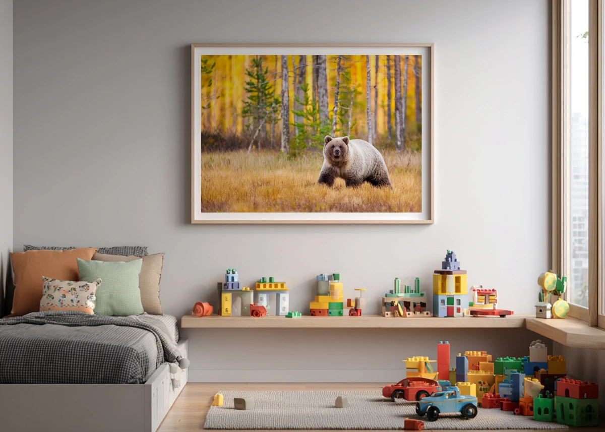 Ours Brun N°2 | Tirage photo qualité professionnelle chambre d'enfant